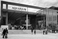 Aquarium de La Rochelle