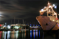 Nocturne à l'aquarium de La Rochelle