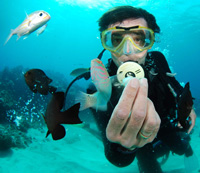 caraibes photo sous-marine